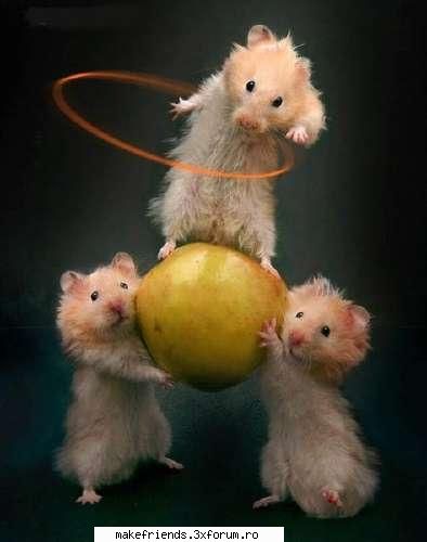 ~Funny stuff~ - dj_vise_colorate - ..::Let's talk::..