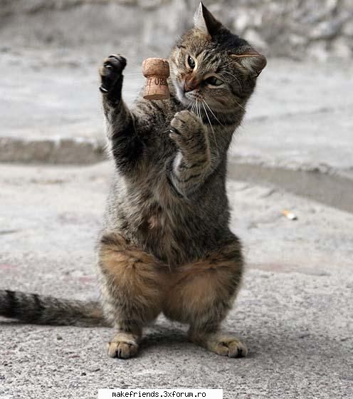 ~Funny stuff~ - =)))))))))))))))))))))))))))))))) super poza - ..::Let's talk::..