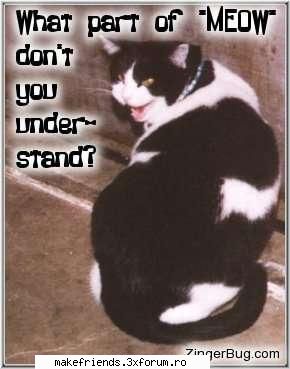~Funny stuff~ - dj_vise_colorate - ..::Let's talk::..