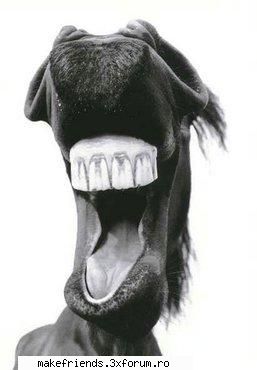 ~Funny stuff~ - stergetzi pls postarile anterioare :-| - ..::Let's talk::..