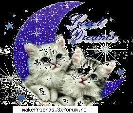 joc cu poze - ~ElEnA~ - ..::Jocuri::..