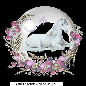 joc cu poze - ~ElEnA~ - ..::Jocuri::..