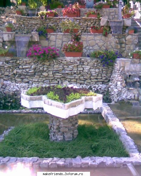 joc cu poze - ~ElEnA~ - ..::Jocuri::..