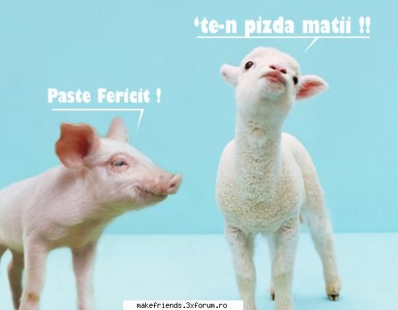 joc cu poze - ..k5mgg"" - ..::Jocuri::..