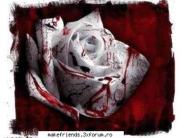 joc cu poze - curqbeuuuuuuu 10 normal - ..::Jocuri::..