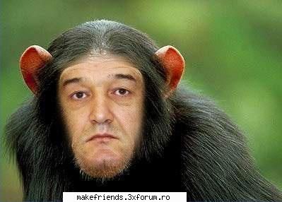 joc cu poze - ce dragut 10 (sorry pt stelisti ) - ..::Jocuri::..