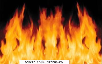 vreau o poza! - vrea o poza q un sconcs - ..::Jocuri::..